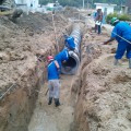 Carregando...